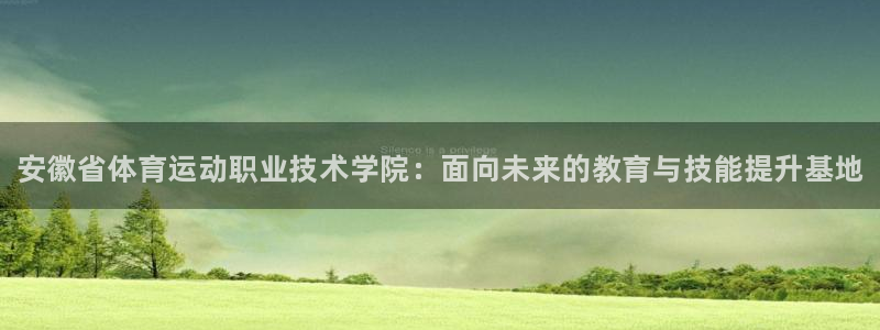 vsport体育官方正版app集团官网网址：安徽省体
