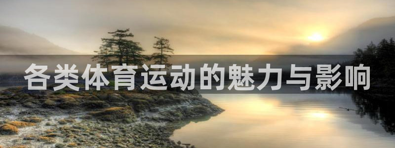 vsport体育官方正版app集团官网网址：各类体育