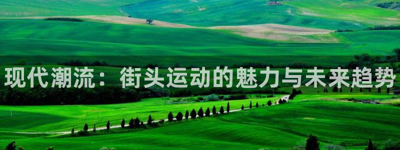 vsport体育官方正版app官方：现代潮流：街头运