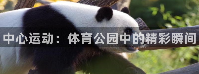 vsport体育官方正版app开户：中心运动：体育公