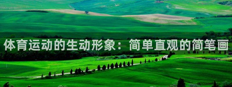 vsport体育官方正版app娱乐是那个系列的台子：