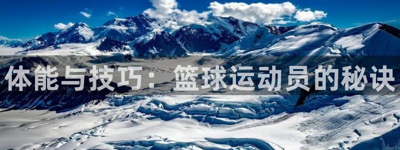 vsport体育官网下载开户：体能与技巧：篮球运动员