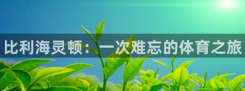 vsport体育官网下载开户：比利海灵顿：一次难忘的