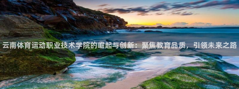 vsport体育官方正版app五金厂：云南体育运动职