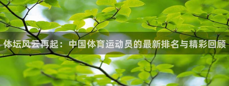 vsport体育官方正版app娱乐代理怎么样：体坛风