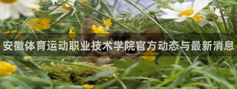 vsport体育官方平台体育：安徽体育运动职业技术学