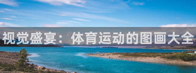 vsport体育官网下载平台是正规平台吗安全吗：视觉盛宴：体