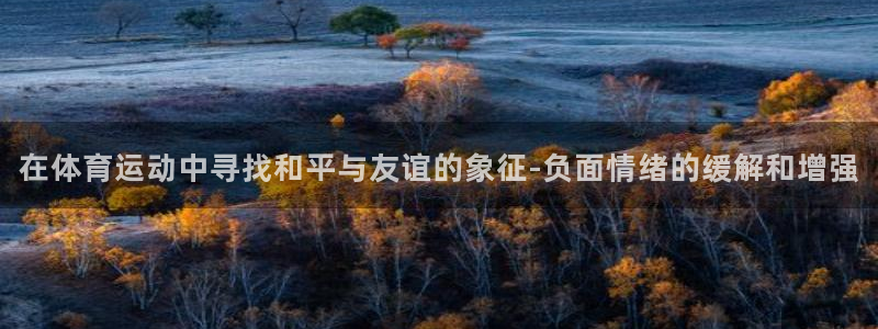 vsport体育官网下载招商：在体育运动中寻找和平与友谊的象