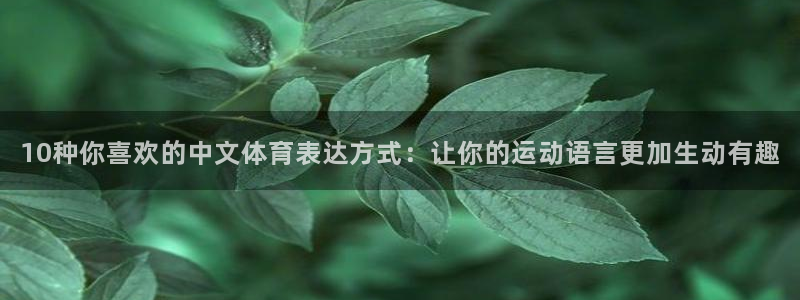 vsport体育官方正版app集团logo：10种你