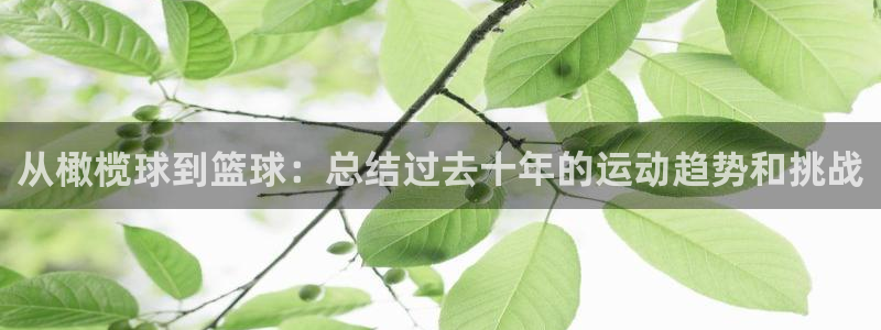 vsport体育官网下载平台注册流程图：从橄榄球到篮球：总结