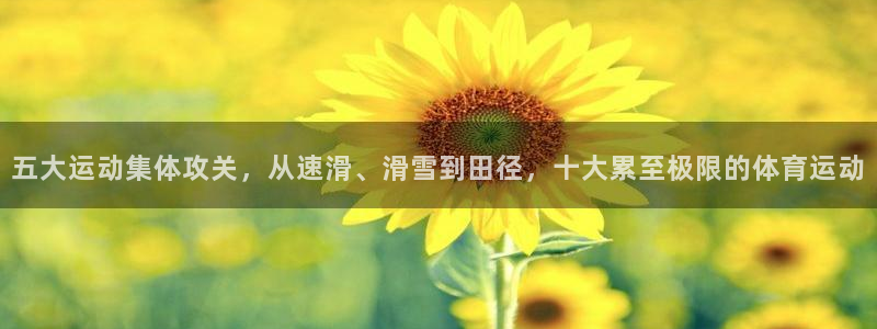 vsport体育官网下载