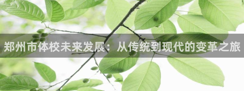vsport体育官方正版app新能源：郑州市体校未来发展：从