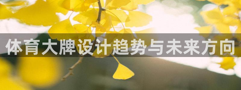 vsport体育官网下载招商电话号码查询是多少：体育大牌设计