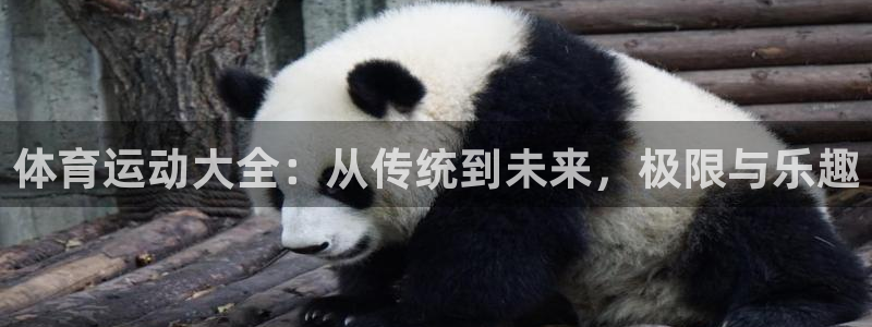 vsport体育官网下载娱乐：体育运动大全：从传统到未来，极