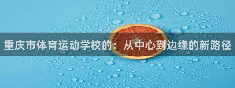 vsport体育官方正版app集团官网首页：重庆市体