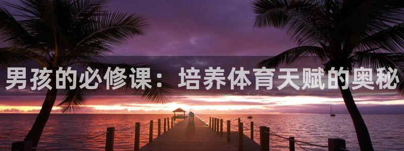 vsport体育官网下载招商电话号码查询是多少