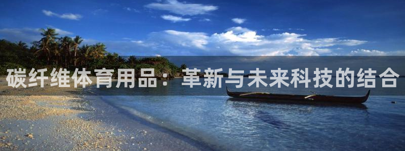 vsport体育官方正版app娱乐网站