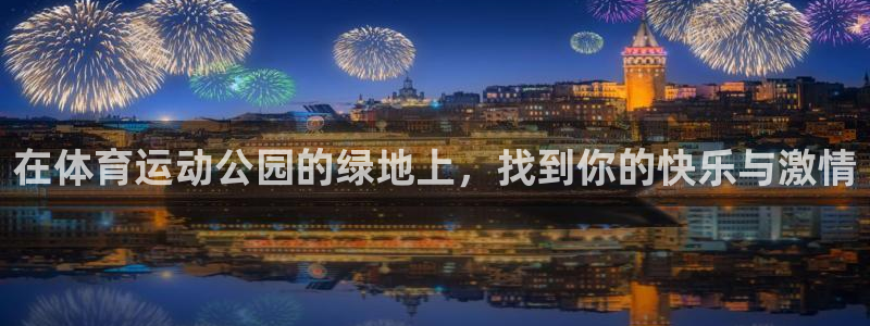 vsport体育官方正版app娱乐