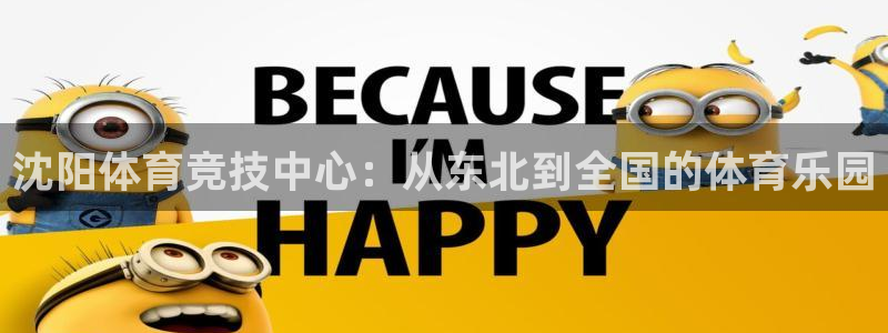 海南vsport体育官网下载发展怎么样：沈阳体育竞技