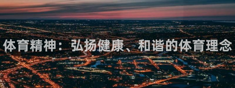 vsport体育官方正版app娱乐下载：体育精神：弘扬健康、