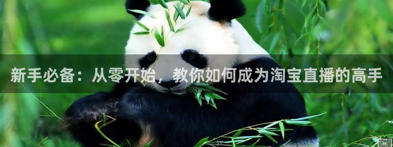 山猫体育赛事直播苹果版下载：新手必备：从零开始，教你如何成为淘宝直播的高手