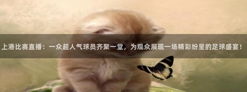 山猫足球免费直播在线观看：上港比赛直播：一众超人气球员齐聚一堂，为观众展现一场精彩纷呈的足球盛宴！